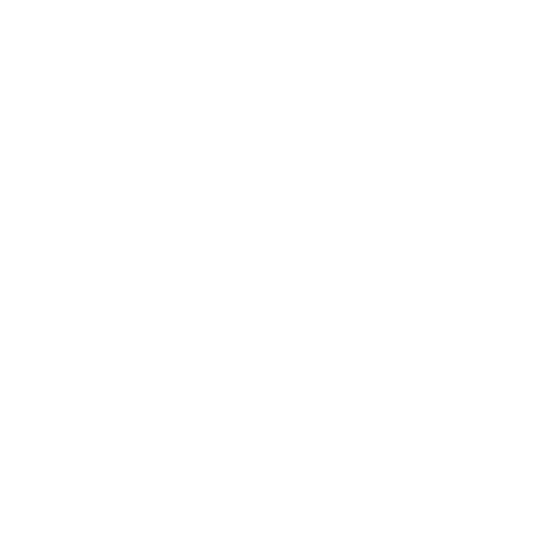VIPER NOIR